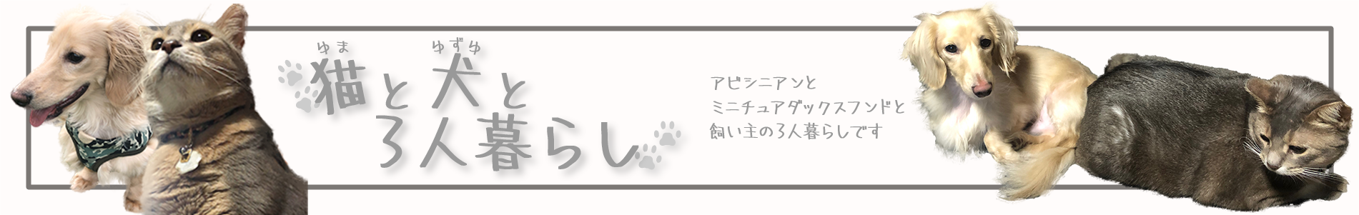 猫と犬と３人暮らし